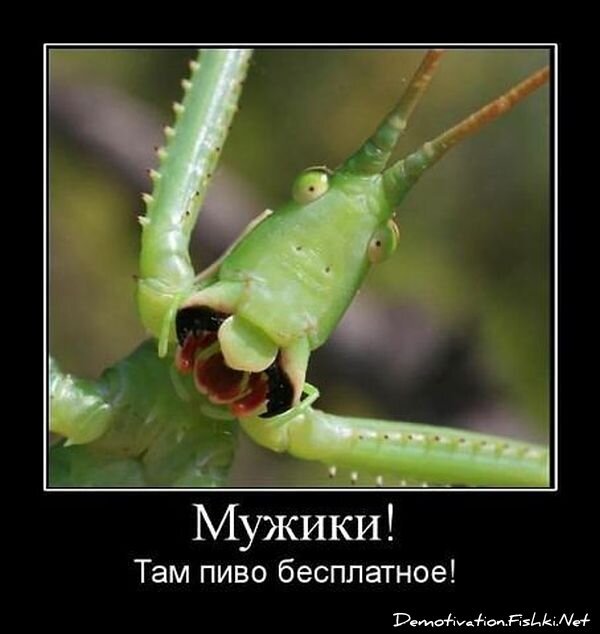 Демотиваторы, часть 337.