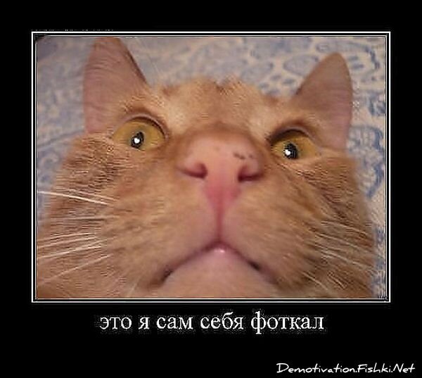 Демотиваторы, часть 337.