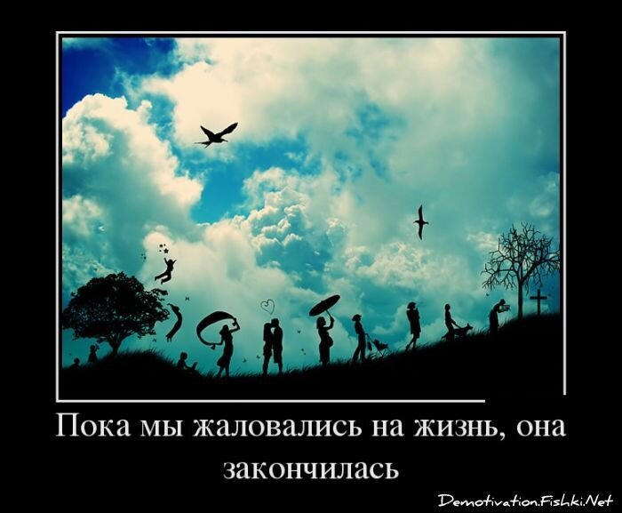 Демотиваторы, часть 337.