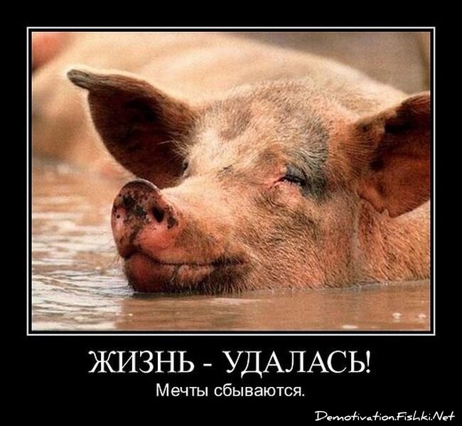 Смешной демотиватор от zubrilov за 01.02.2013 №144686