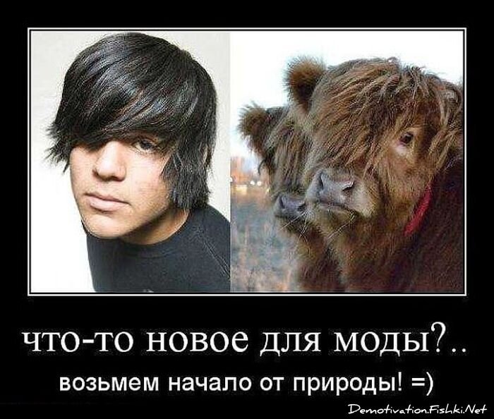 Демотиваторы, часть 337.