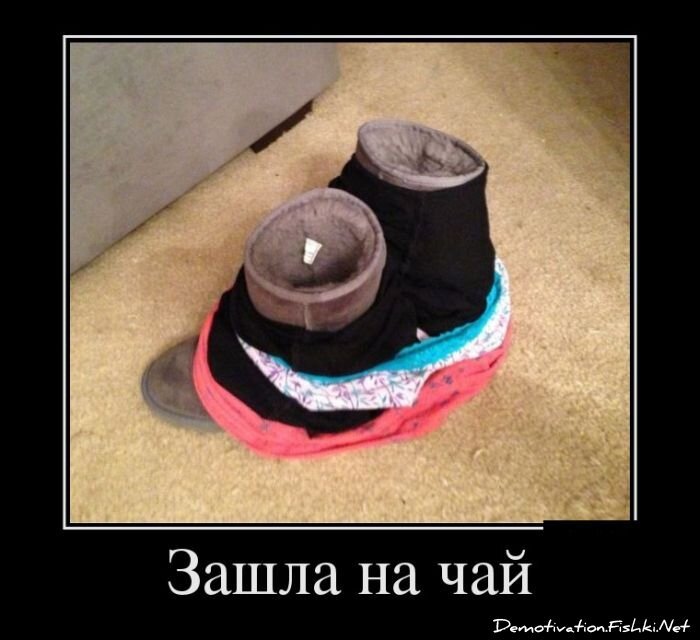Смешной демотиватор от zubrilov за 04.02.2013 №144716
