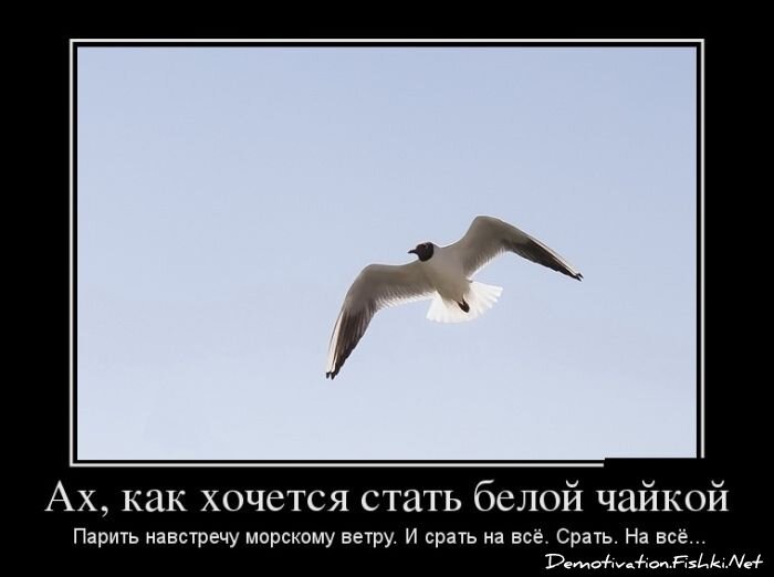 Смешной демотиватор от zubrilov за 06.02.2013 №145022