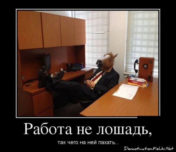 Смешной демотиватор от zubrilov за 06.02.2013 №145030