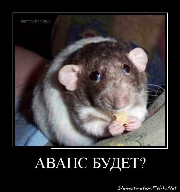Демотиваторы, часть 339.