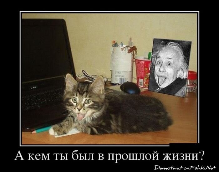 Демотиваторы, часть 339.