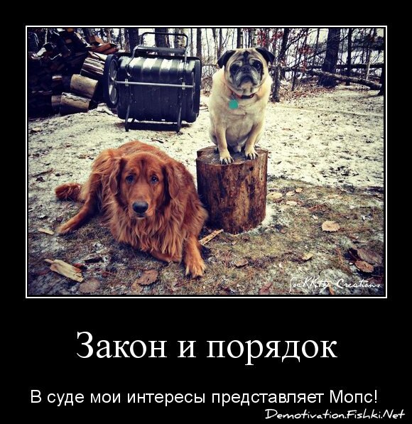 Закон и порядок