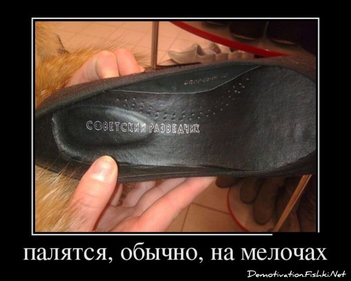 Демотиваторы, часть 340.