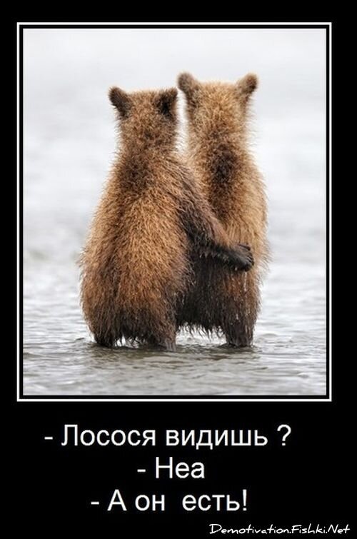 Демотиваторы, часть 340.
