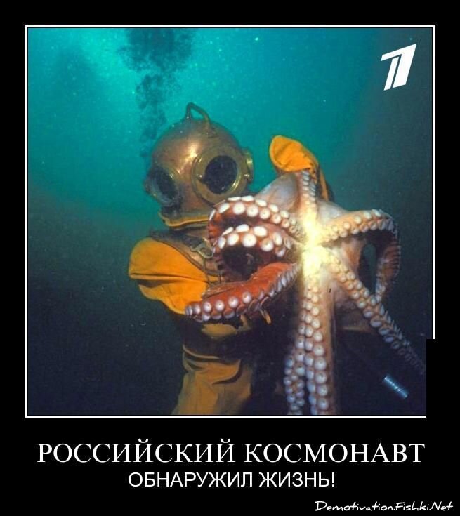 Демотиваторы, часть 340.