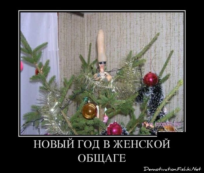 Демотиваторы, часть 340.