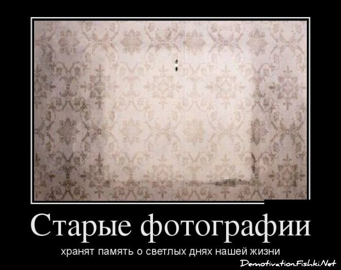 Смешной демотиватор от zubrilov за 11.02.2013 №145431