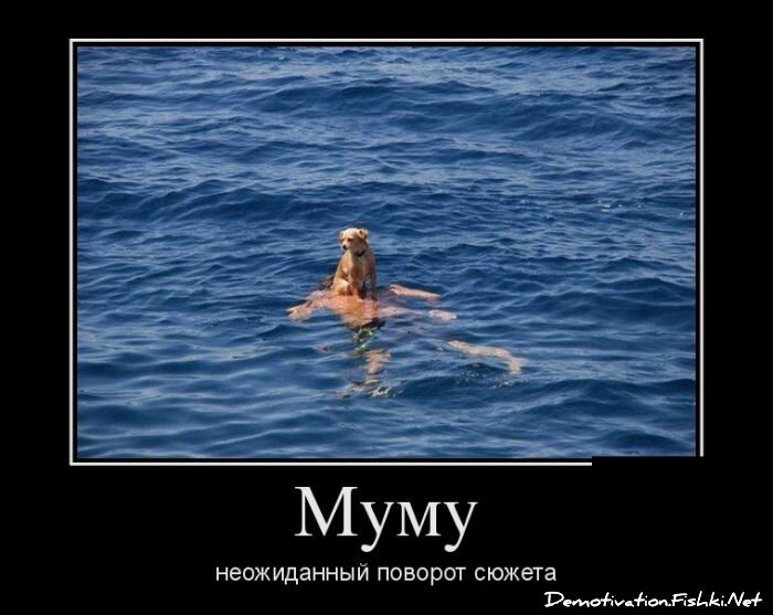 Смешной демотиватор от zubrilov за 11.02.2013 №145561