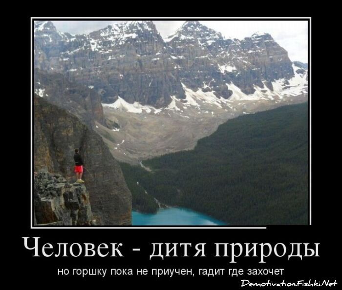 Смешной демотиватор от zubrilov за 11.02.2013 №145564
