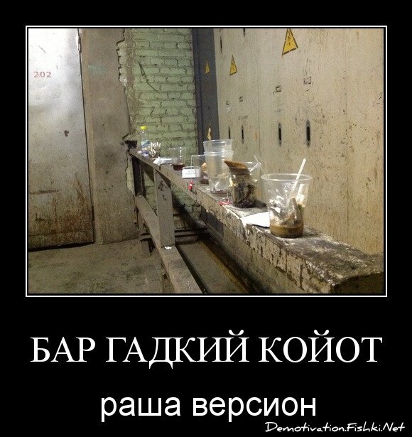 Бар гадкий койот