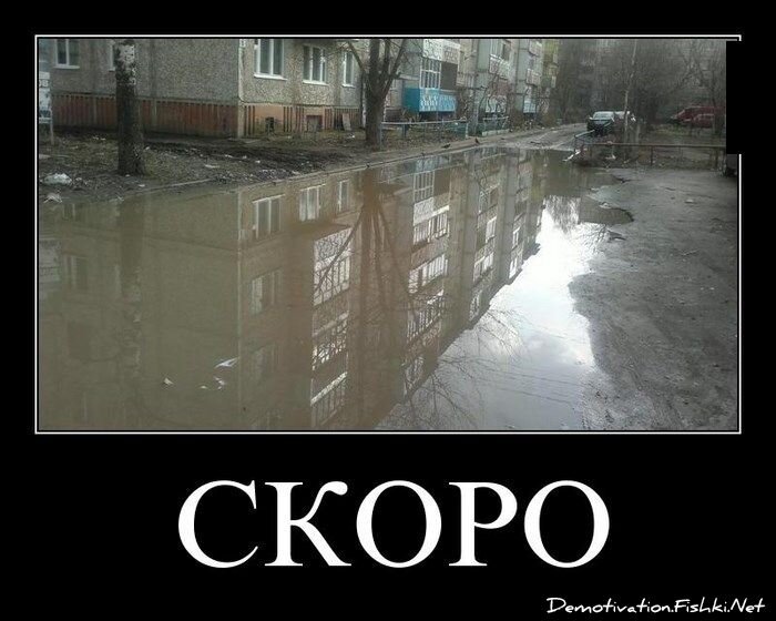 Смешной демотиватор от zubrilov за 15.02.2013 №146060