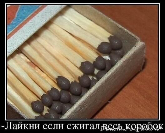 Смешной демотиватор от zubrilov за 20.02.2013 №146350