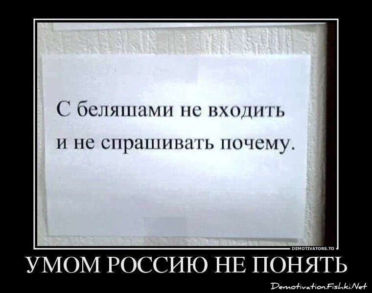 Смешной демотиватор от zubrilov за 20.02.2013 №146354