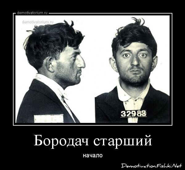 Смешной демотиватор от zubrilov за 20.02.2013 №146376