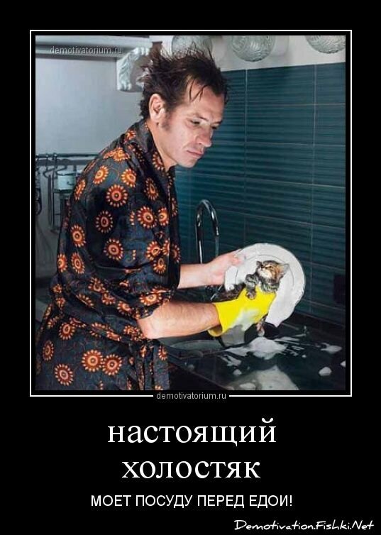 Смешной демотиватор от zubrilov за 20.02.2013 №146383