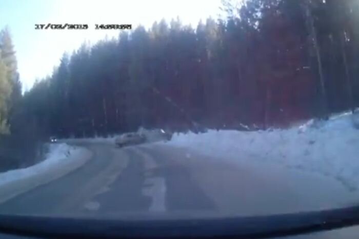 Видео дня
