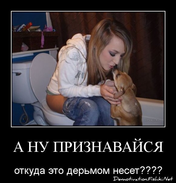 А Ну Признавайся
