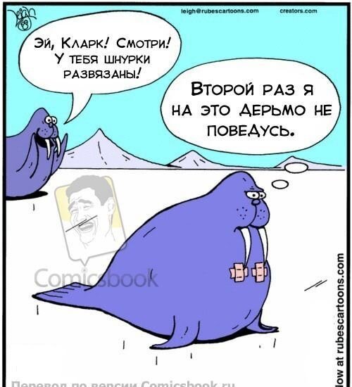 Фотоприкол