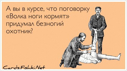 A вы в курсе, что поговорку «Волка ноги кормят»...