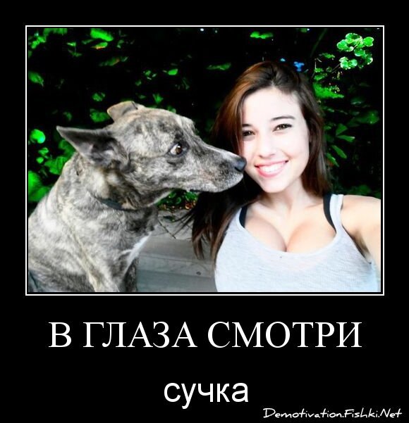 В глаза смотри