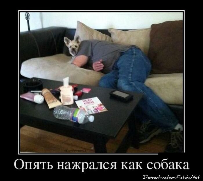 Смешной демотиватор от zubrilov за 25.02.2013 №147090