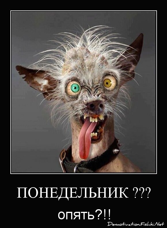 ПОНЕДЕЛЬНИК ???