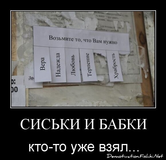 сиськи и бабки