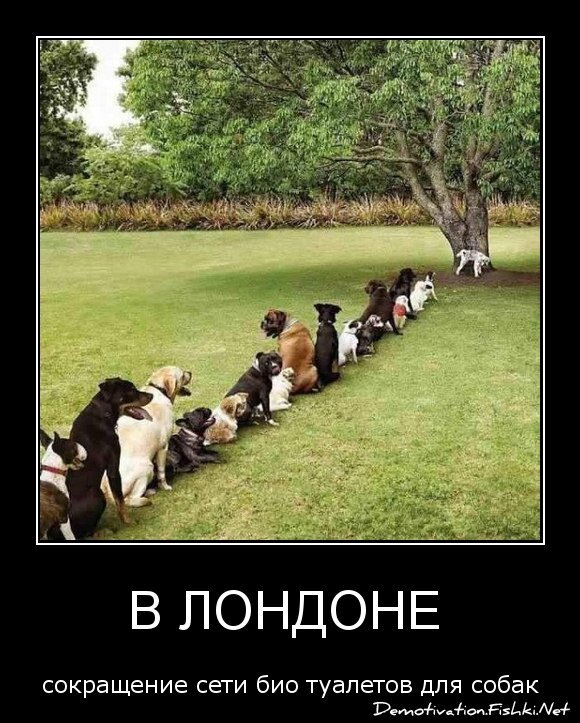 В Лондоне 