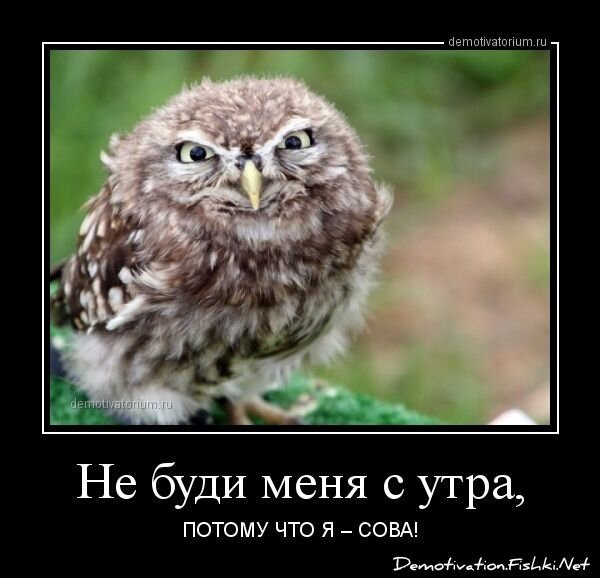 Смешной демотиватор от zubrilov за 27.02.2013 №147380