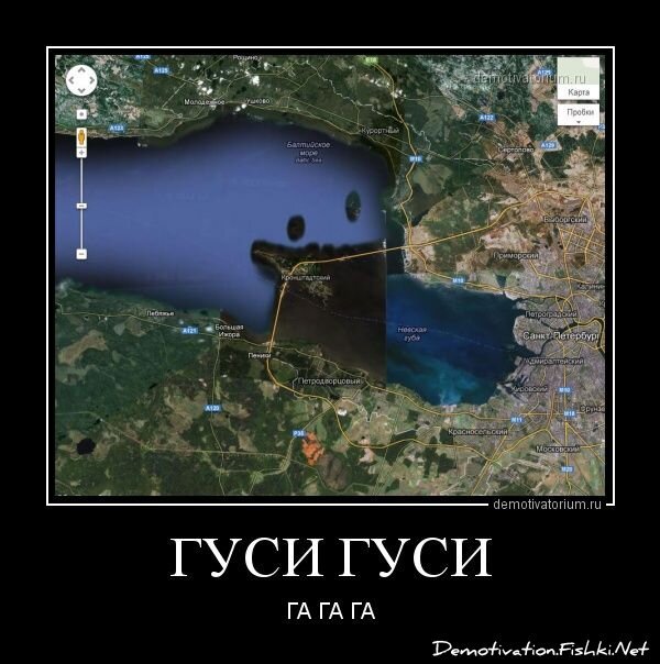 Смешной демотиватор от zubrilov за 27.02.2013 №147382