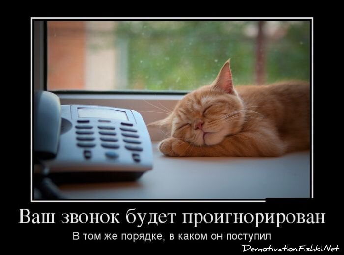 Смешной демотиватор от zubrilov за 27.02.2013 №147386