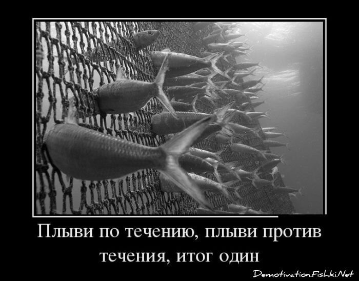 Смешной демотиватор от zubrilov за 27.02.2013 №147398