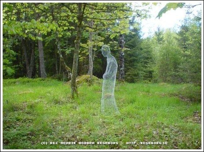 Призрак в лесу (9 фото)