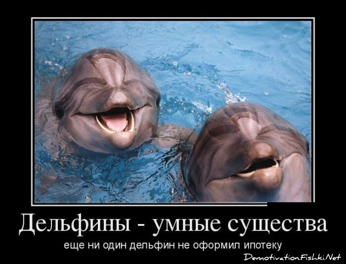 Смешной демотиватор от zubrilov за 01.03.2013 №148262