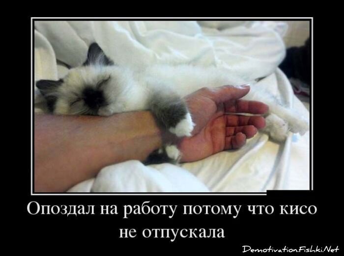 Смешной демотиватор от zubrilov за 01.03.2013 №148263