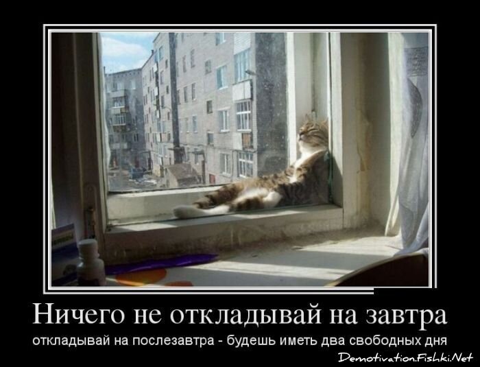Смешной демотиватор от zubrilov за 01.03.2013 №148265