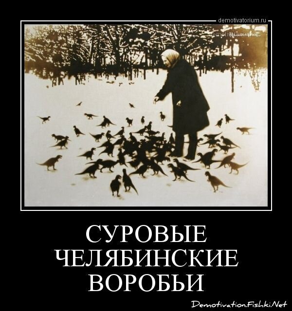 Смешной демотиватор от zubrilov за 01.03.2013 №148270