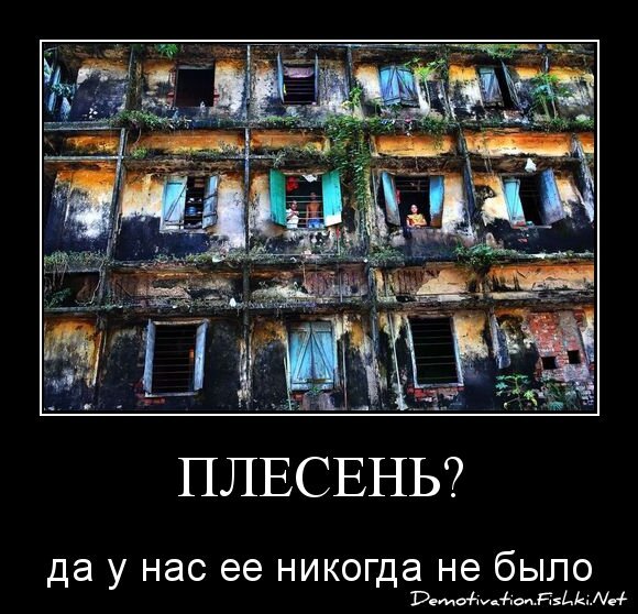 ПЛЕСЕНЬ?