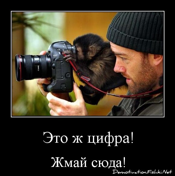 Это ж цифра!