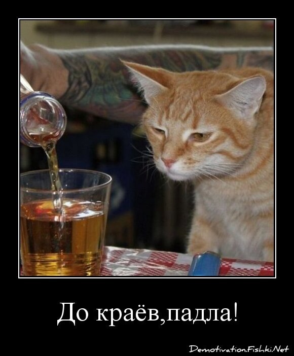 До краёв,падла!