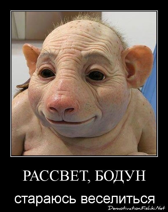 Рассвет, бодун