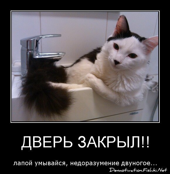 Дверь закрыл!!
