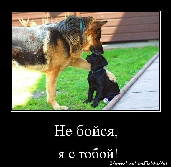 Не бойся,