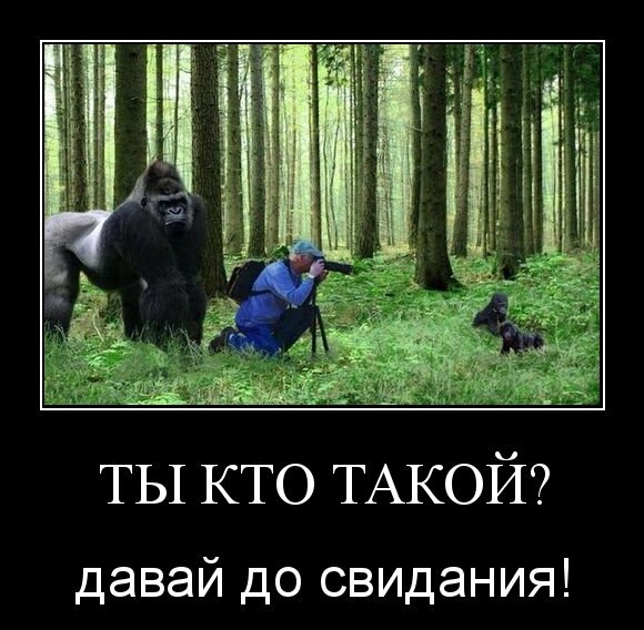 Ты кто такой?