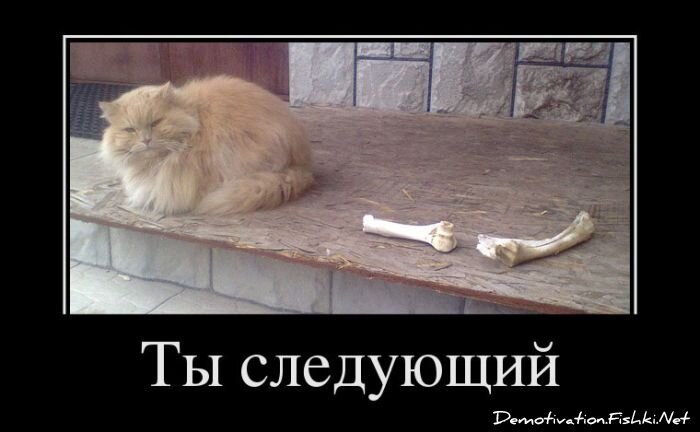 Смешной демотиватор от zubrilov за 13.03.2013 №149463